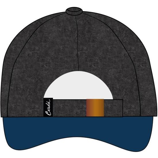 GORRA VISERA CURVA ADULTO HARRY POTTER RAVENCLAW