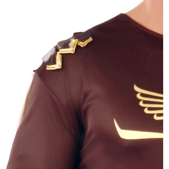GLADIUS, ADULTO, 52 - 54 (L)