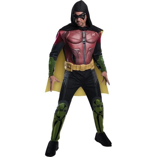 DISFRAZ ROBIN™ DELUXE AD RUBIES