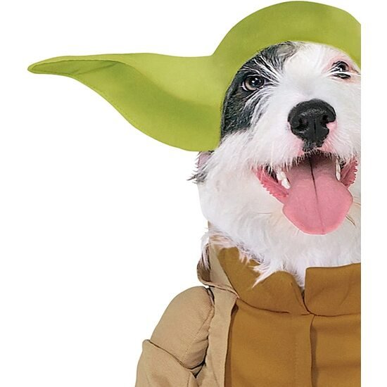 DISFRAZ YODA DLX MASCOTA