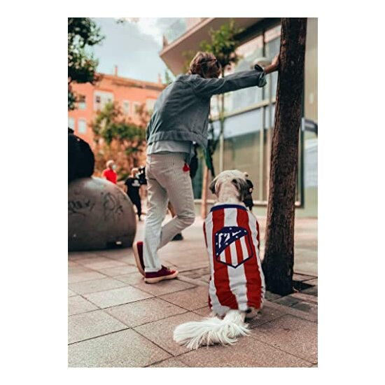 ATLÉTICO DE MADRID CAMISETA PARA PERRO  TALLA XS
