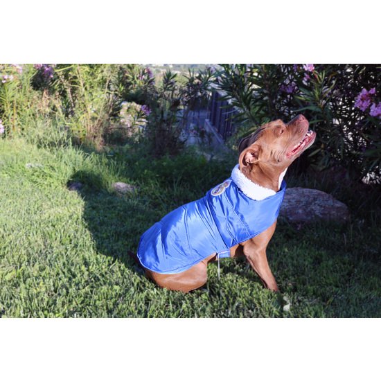 REAL MADRID ABRIGO IMPERMEABLE PARA PERRO  TALLA XXS