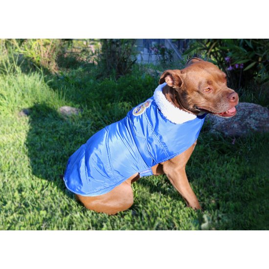 REAL MADRID ABRIGO IMPERMEABLE PARA PERRO  TALLA XXS