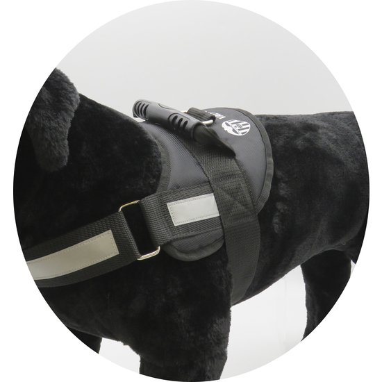 ARNÉS REFORZADO CON RELLENO PARA PERRO -TALLA S-M - VALENCIA