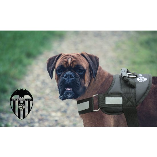 ARNÉS REFORZADO CON RELLENO PARA PERRO -TALLA S-M - VALENCIA