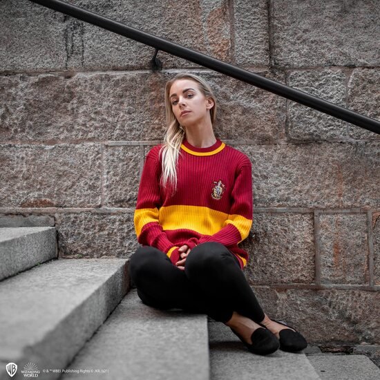 JERSEY HARRY POTTER GRYFFINDOR QUIDDITCH (S)