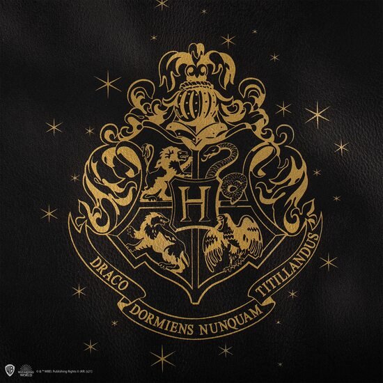 BOLSO HARRY POTTER HOGWARTS NEGRO