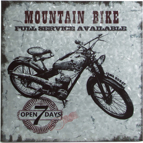 Comprar Cuadro Mountain Bike Hierro Galvanizado