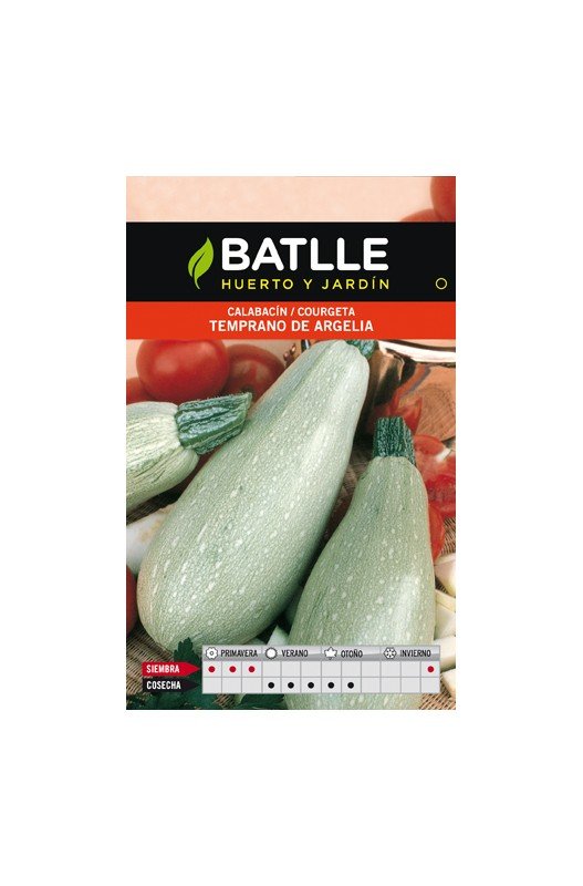 CALABACIN TEMPRANO ARGELIA Batlle