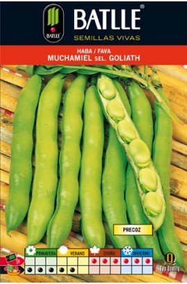 Comprar Haba Muchamiel 1 Kg. Selc.goliath