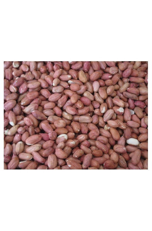 Comprar Cacahuetes Pelado Argentino 50 Kg.
