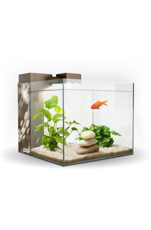 Comprar Acuario Zeneo 30 Eclat