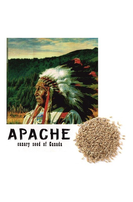 Comprar Alpiste Canada Apache 5 Kg.