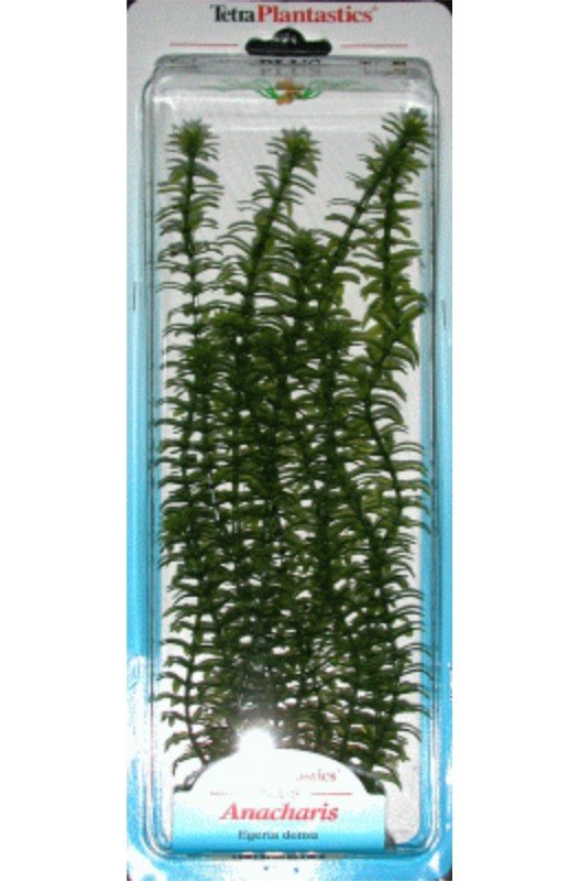 Comprar Planta Anacharis Plus (28-33cm)