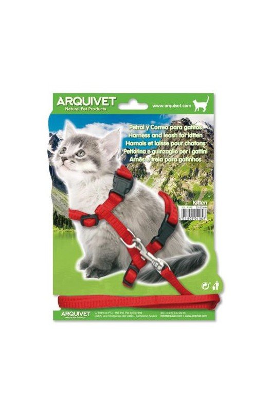 Comprar Petral + Tirador Gatitos 35/44cms.