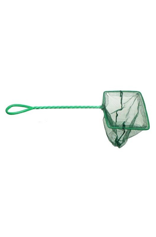 Comprar Salabre Verde 15 X 12.5 Cm.